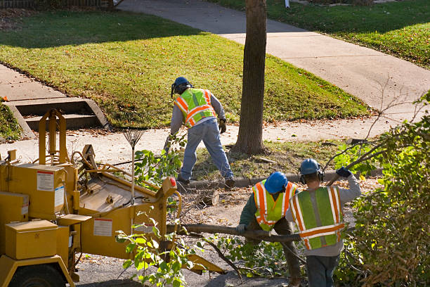 Trusted Westover, AL Tree Removal and Landscaping Services Experts